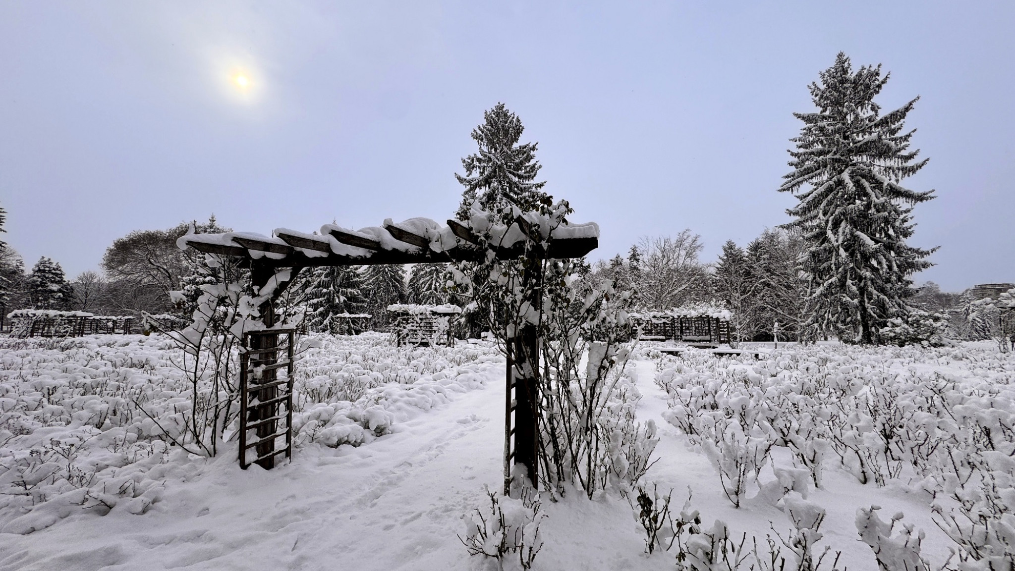 Радио Добруджа слайд 6